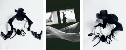 Isolation - a Photographic Art Artowrk by Anastasia Shik